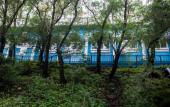 Туры в отель Tiger Hostel Туры в отель Tiger Hostel