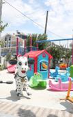 Туры в отель Mavi Pansiyon & Restaurant Butik-Hotel Туры в отель Mavi Pansiyon & Restaurant Butik-Hotel