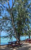 Туры в отель Sairee Cottage Resort (SHA Plus+) Туры в отель Sairee Cottage Resort (SHA Plus+)