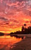 Туры в отель Samui Caravans Beach Camp Туры в отель Samui Caravans Beach Camp