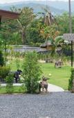 Туры в отель Maya Resort Туры в отель Maya Resort