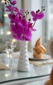 Туры в отель Hanoi Cristina Hotel & Travel Туры в отель Hanoi Cristina Hotel & Travel