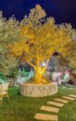 Туры в отель Cunda Ozerbey Konagi - +13 Adults Only Туры в отель Cunda Ozerbey Konagi - +13 Adults Only