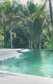 Туры в отель Ubud Tropical - Hostel Туры в отель Ubud Tropical - Hostel