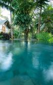 Туры в отель Ubud Tropical - Hostel Туры в отель Ubud Tropical - Hostel