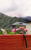 Туры в отель Elguja Qushashvili Guest house Туры в отель Elguja Qushashvili Guest house