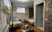 Туры в отель Elguja Qushashvili Guest house Туры в отель Elguja Qushashvili Guest house