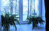 Туры в отель U Politehnicheskoj Hostel Туры в отель U Politehnicheskoj Hostel