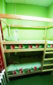 Туры в отель HotelHot Baumanskaya Hostel Туры в отель HotelHot Baumanskaya Hostel