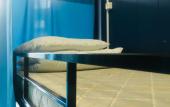Туры в отель Na Komsomolskoy Mini hotel Туры в отель Na Komsomolskoy Mini hotel