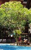 Туры в отель Green Garden Туры в отель Green Garden