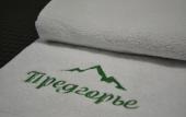 Туры в отель Predgor'e Hotel Туры в отель Predgor'e Hotel