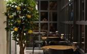 Туры в отель Limon Inn Hotel Туры в отель Limon Inn Hotel