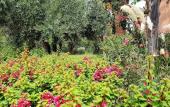Туры в отель RIAD GARDEN LUXURY APARTS by Sabor Voyage Туры в отель RIAD GARDEN LUXURY APARTS by Sabor Voyage