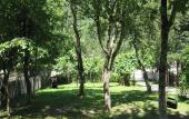 Туры в отель Hotel Ushba Туры в отель Hotel Ushba