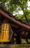 Туры в отель Canopy by Hilton Chengdu City Centre Туры в отель Canopy by Hilton Chengdu City Centre