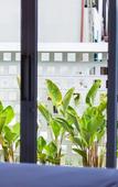 Туры в отель The Seaton House Phuket Туры в отель The Seaton House Phuket