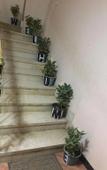 Туры в отель Sunshine Pyramids View Inn Туры в отель Sunshine Pyramids View Inn