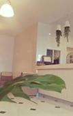 Туры в отель Xanadu Hotel Utapao Туры в отель Xanadu Hotel Utapao