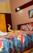 Туры в отель hotel shady Туры в отель hotel shady