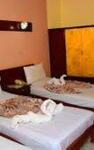 Туры в отель hotel shady Туры в отель hotel shady