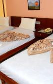 Туры в отель hotel shady Туры в отель hotel shady