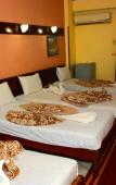 Туры в отель hotel shady Туры в отель hotel shady
