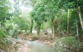 Туры в отель Tara Resort Samui Туры в отель Tara Resort Samui