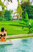 Туры в отель Adil Villa and Resort Туры в отель Adil Villa and Resort