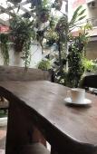 Туры в отель Sue at Cozy Guesthouse Туры в отель Sue at Cozy Guesthouse