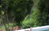 Туры в отель Villa Beji Mawang Ubud by Pramana Villas Туры в отель Villa Beji Mawang Ubud by Pramana Villas