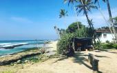Туры в отель Villa Coconut - Hostel Туры в отель Villa Coconut - Hostel