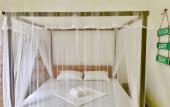 Туры в отель Villa Coconut - Hostel Туры в отель Villa Coconut - Hostel