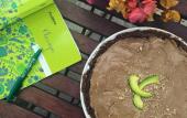Туры в отель Villa Coconut - Hostel Туры в отель Villa Coconut - Hostel