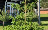 Туры в отель Lezhnevskaya Laguna Zagorodny Hotel Туры в отель Lezhnevskaya Laguna Zagorodny Hotel
