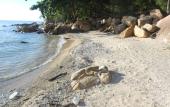 Туры в отель Zama Resort Туры в отель Zama Resort