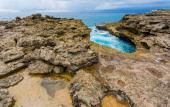 Туры в отель Taman Sari Villas Lembongan Туры в отель Taman Sari Villas Lembongan