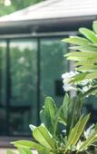 Туры в отель Villa Navin Premier Pool Villa Туры в отель Villa Navin Premier Pool Villa