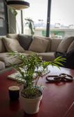 Туры в отель GALATA M84 Hotel Туры в отель GALATA M84 Hotel