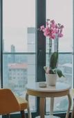 Туры в отель Grand Lark Otel Туры в отель Grand Lark Otel