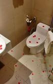 Туры в отель Thanh Long Hotel Туры в отель Thanh Long Hotel