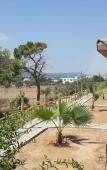 Туры в отель Karpaz Farm Guest House Туры в отель Karpaz Farm Guest House