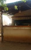 Туры в отель Karpaz Farm Guest House Туры в отель Karpaz Farm Guest House