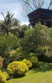 Туры в отель Thevni Holiday Resort Туры в отель Thevni Holiday Resort