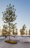 Туры в отель Ricosta Hotel Туры в отель Ricosta Hotel