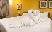 Туры в отель Vinary Hotel Туры в отель Vinary Hotel