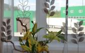 Туры в отель U Petrovicha Mini-Hotel Туры в отель U Petrovicha Mini-Hotel