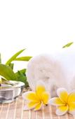 Туры в отель Mayflower Saigon Hotel Туры в отель Mayflower Saigon Hotel