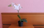 Туры в отель V tsentre Mini-Hotel Туры в отель V tsentre Mini-Hotel