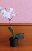 Туры в отель V tsentre Mini-Hotel Туры в отель V tsentre Mini-Hotel